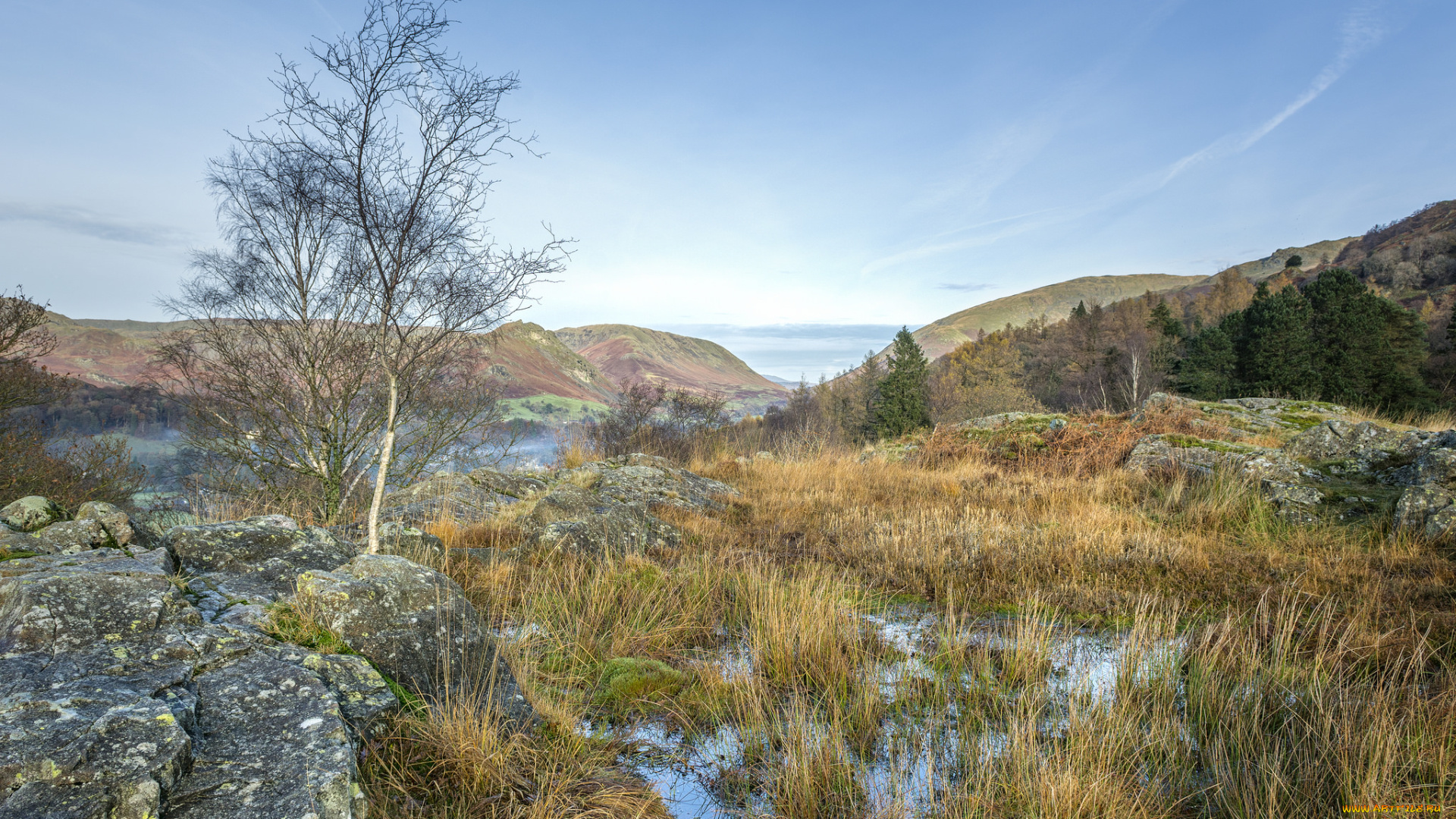 природа, пейзажи, простор