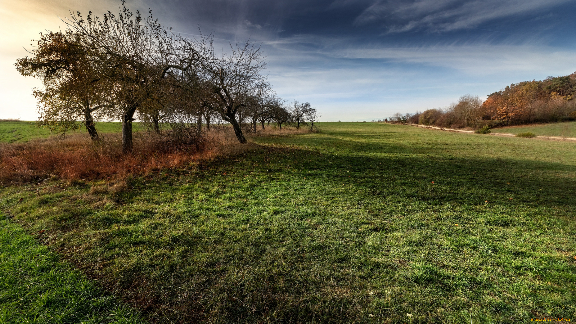 природа, пейзажи, простор