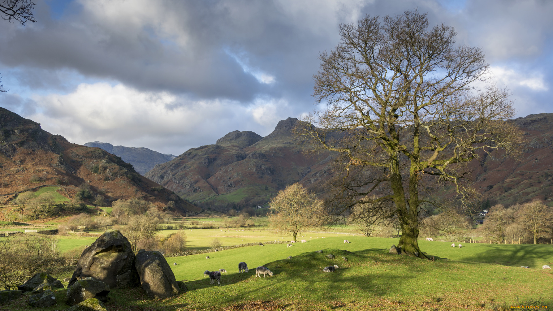 природа, пейзажи, простор