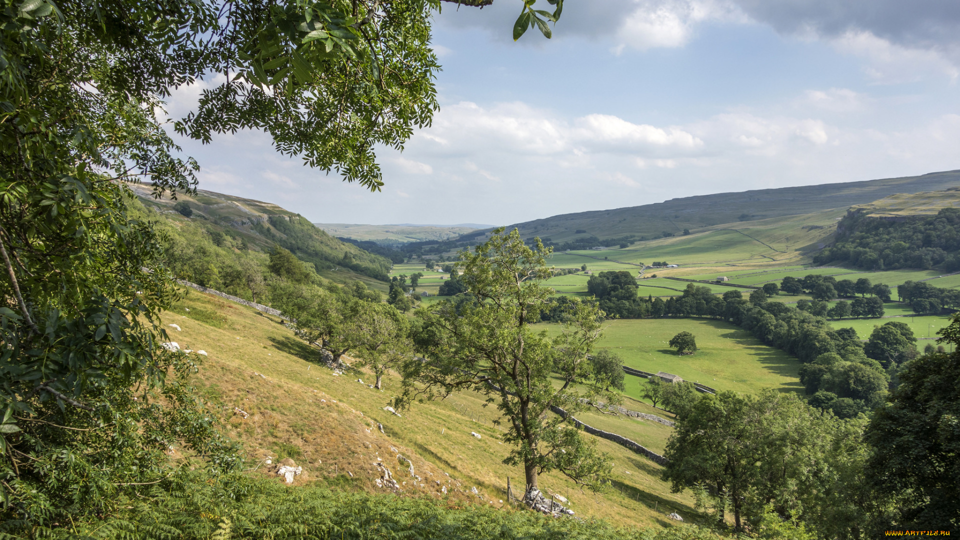 природа, пейзажи, простор