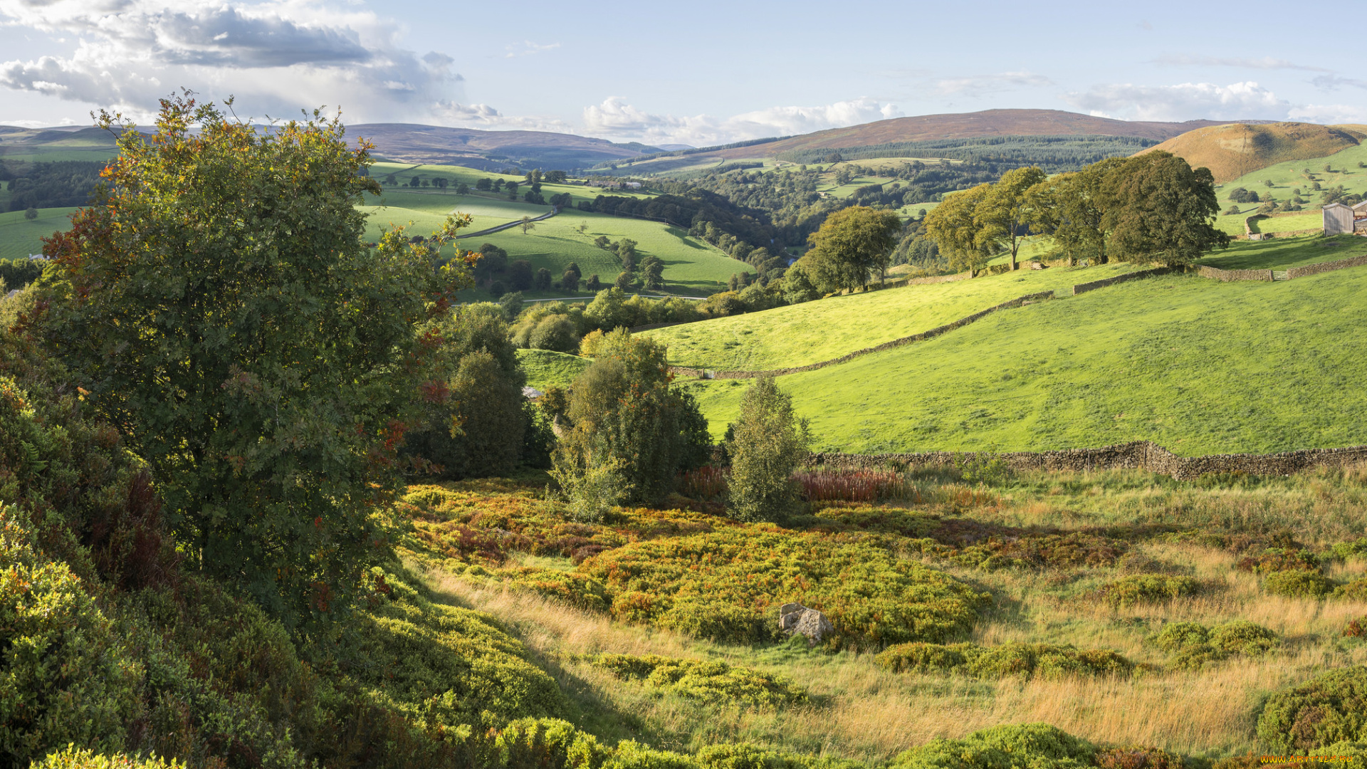 природа, пейзажи, простор