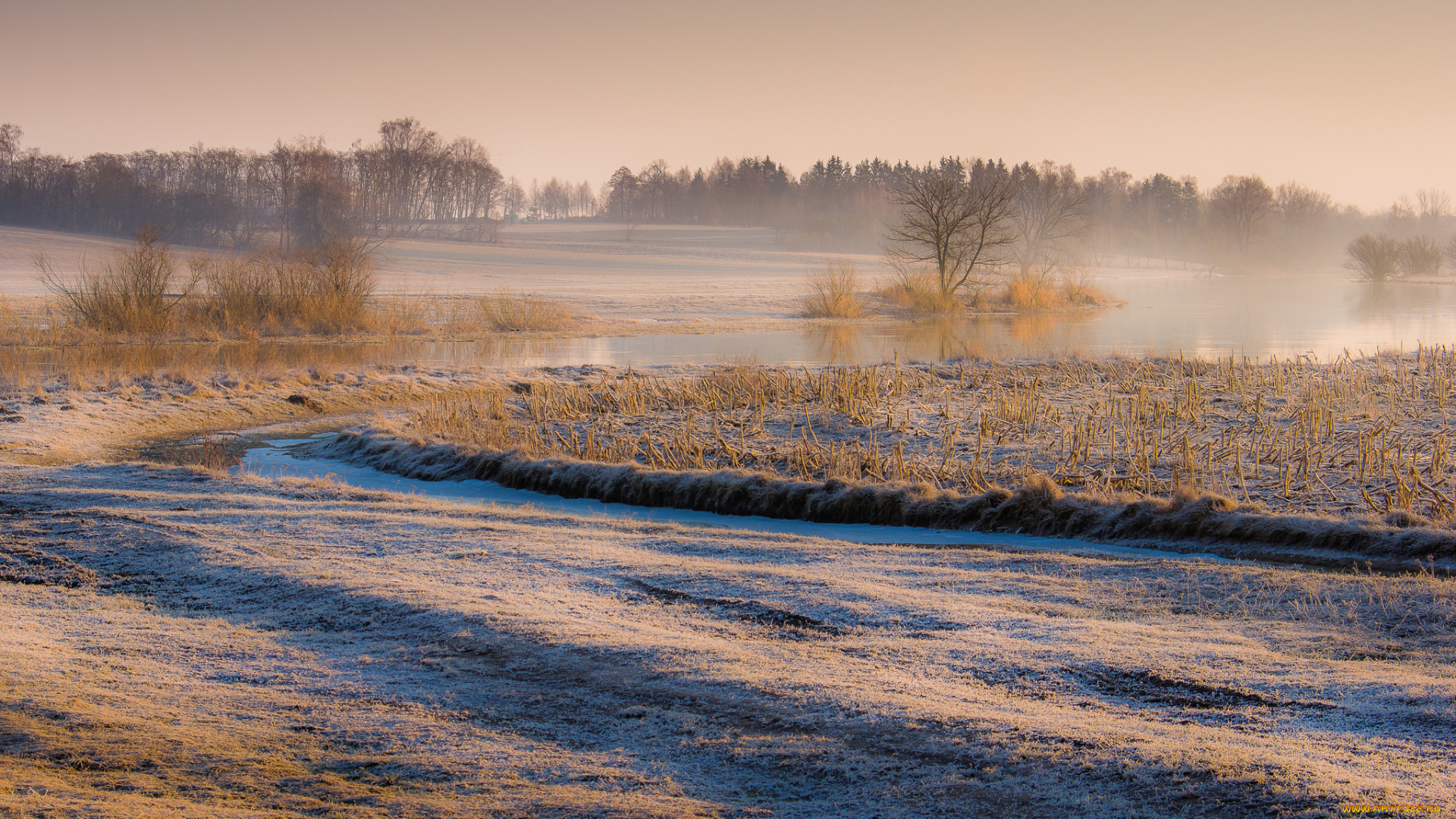природа, пейзажи, простор