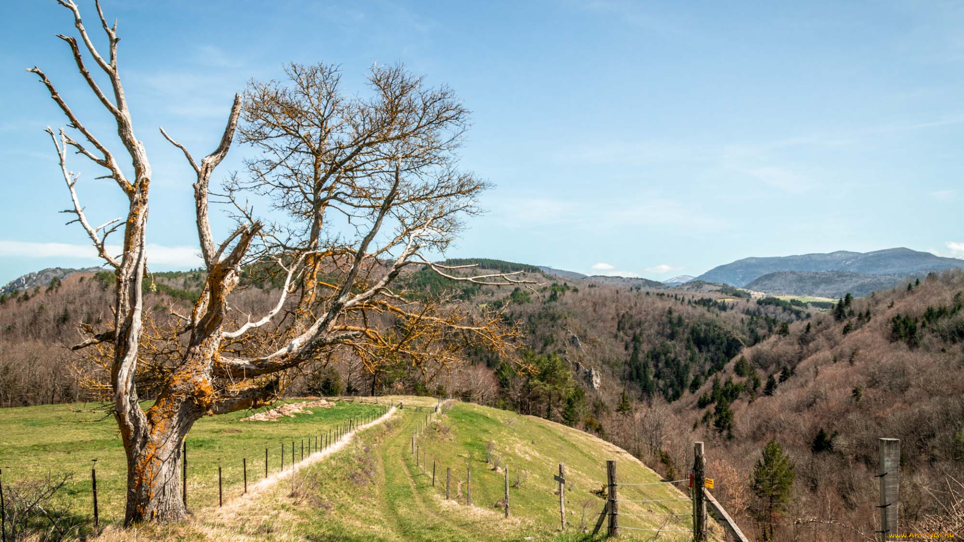 природа, пейзажи, простор