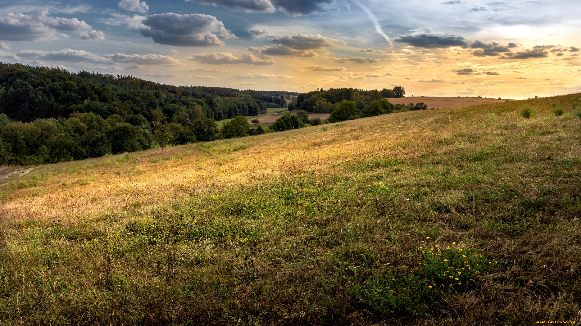 природа, пейзажи, простор