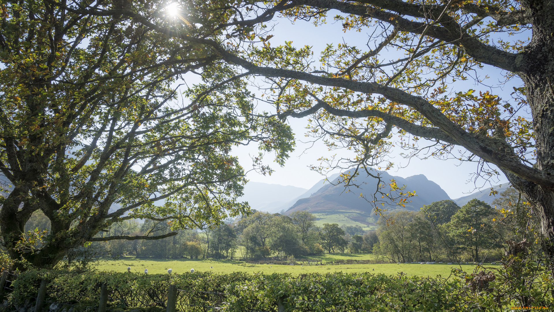 природа, пейзажи, простор