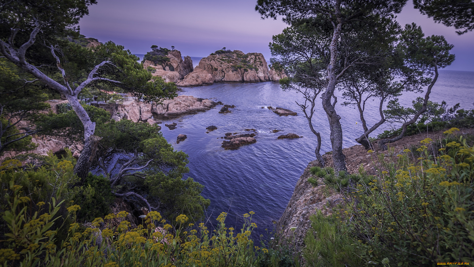 природа, побережье, простор