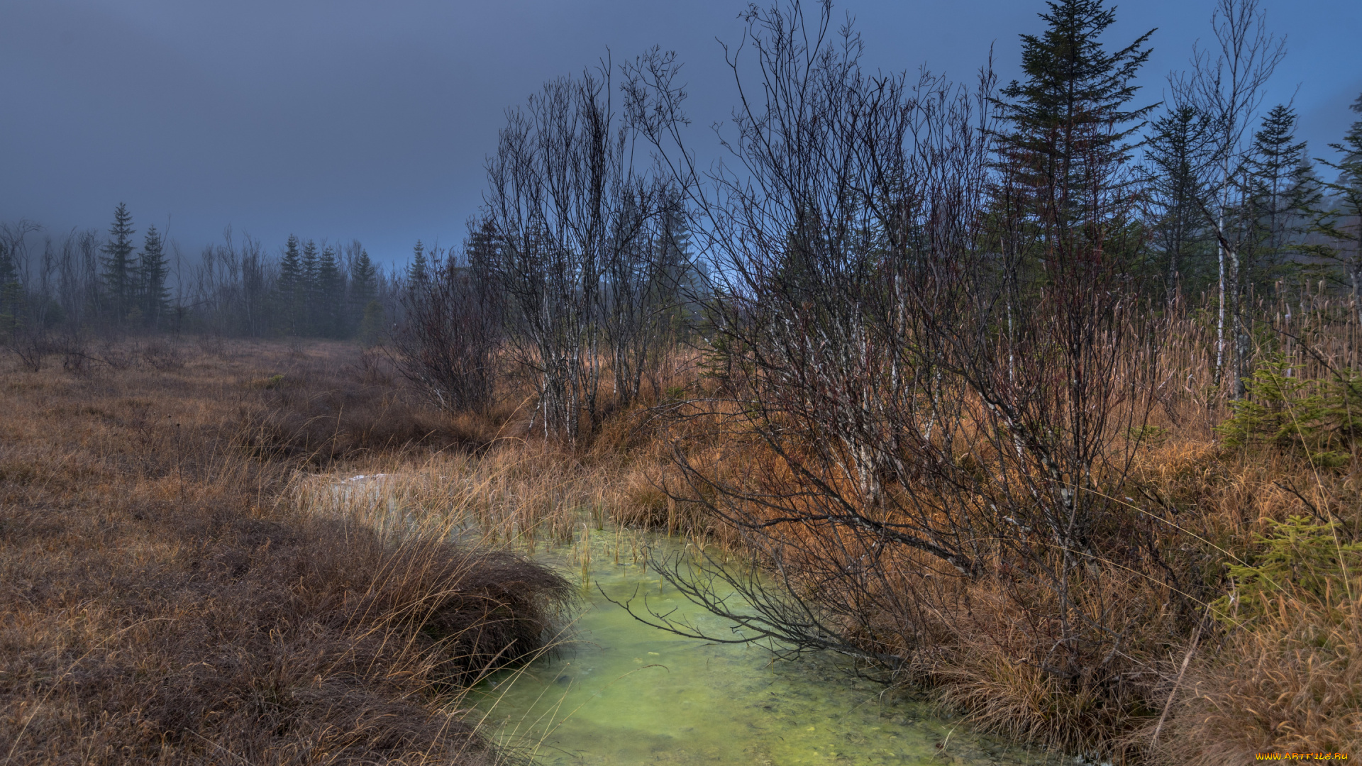 природа, реки, озера, осень, река