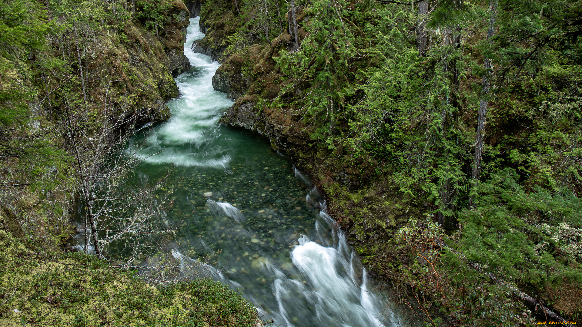 природа, реки, озера, простор