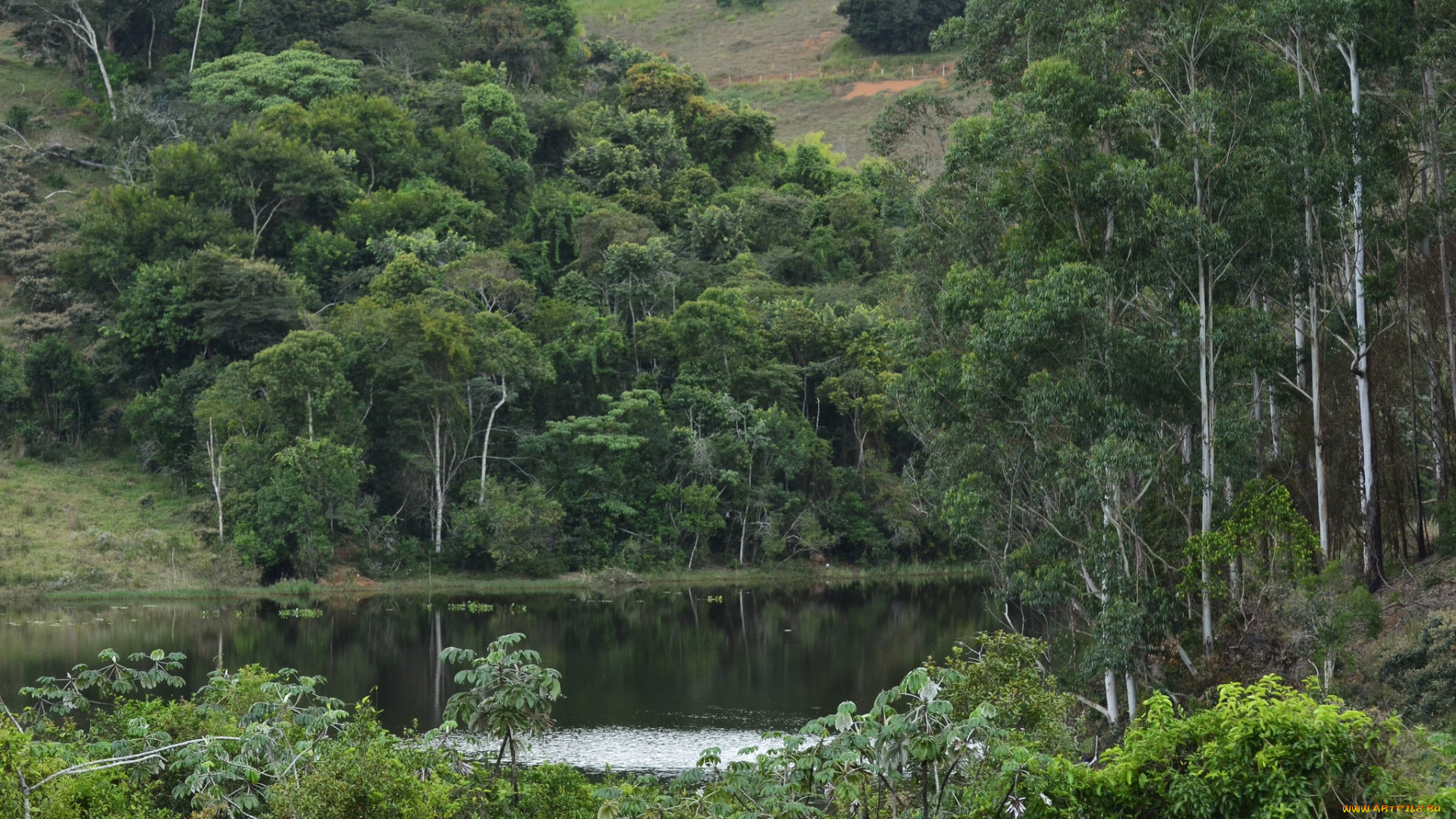 природа, реки, озера, простор