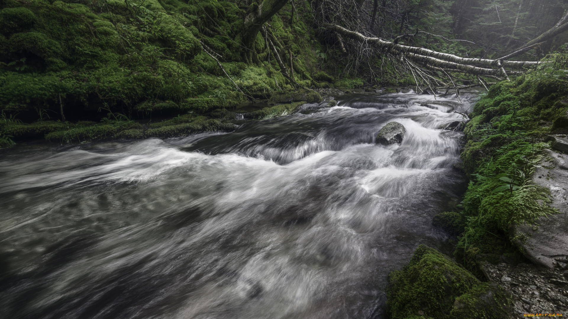 природа, реки, озера, простор