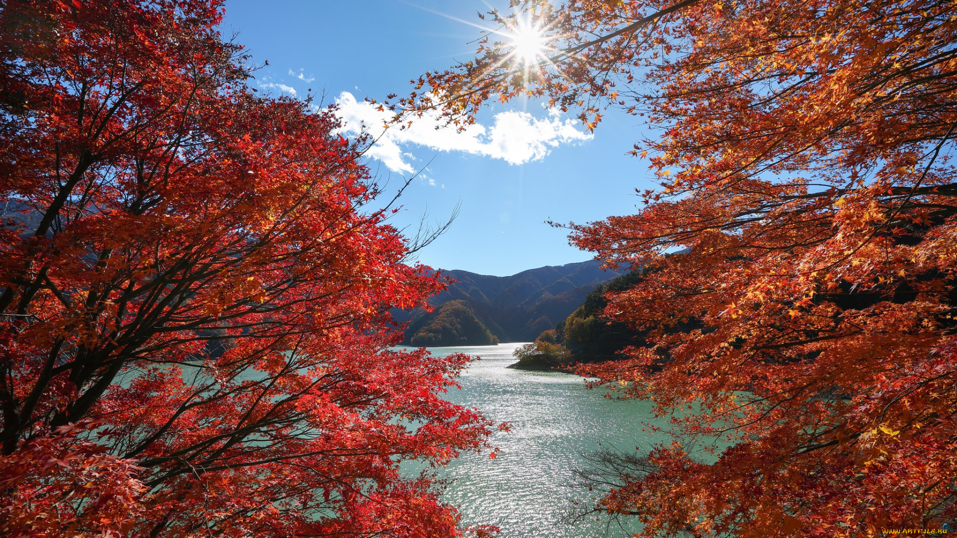 природа, реки, озера, простор