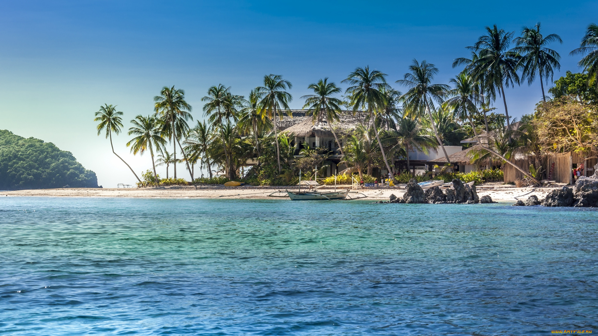 природа, тропики, простор