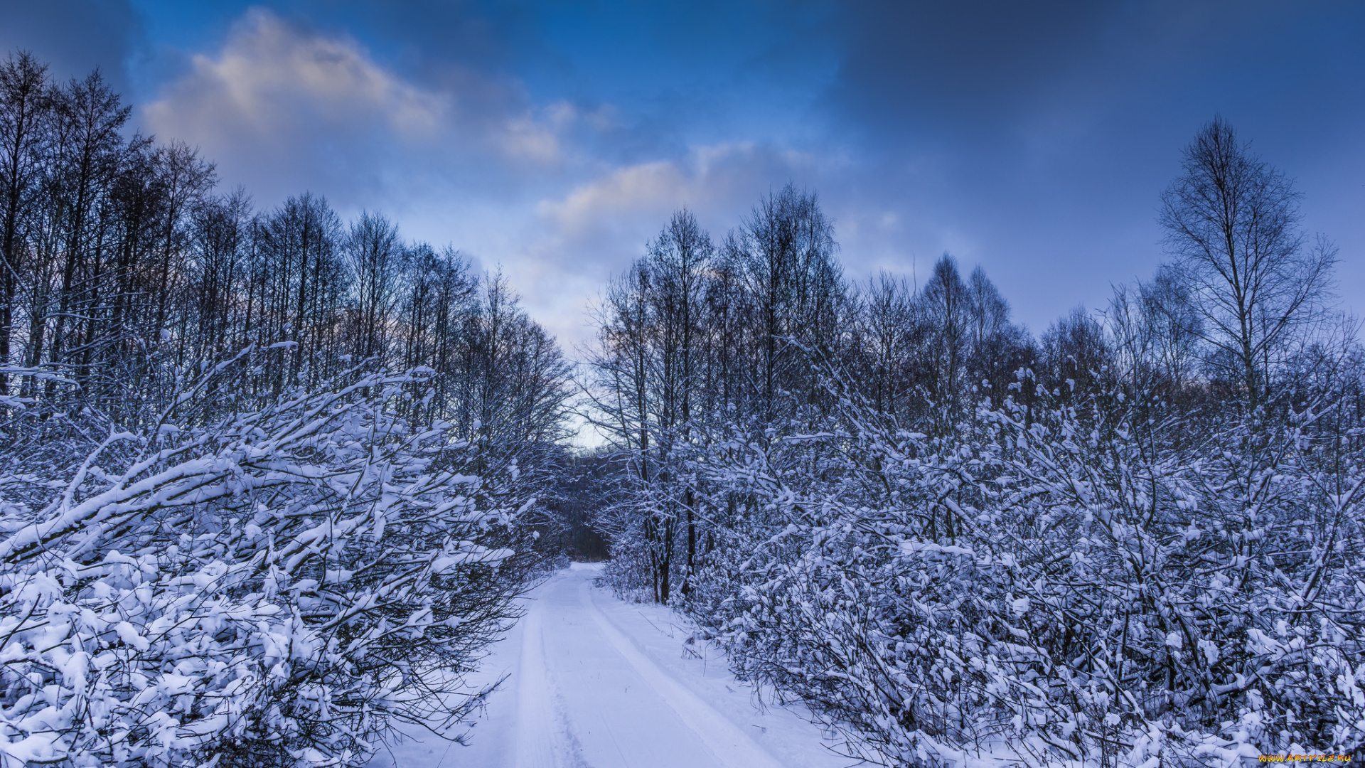 природа, зима, простор