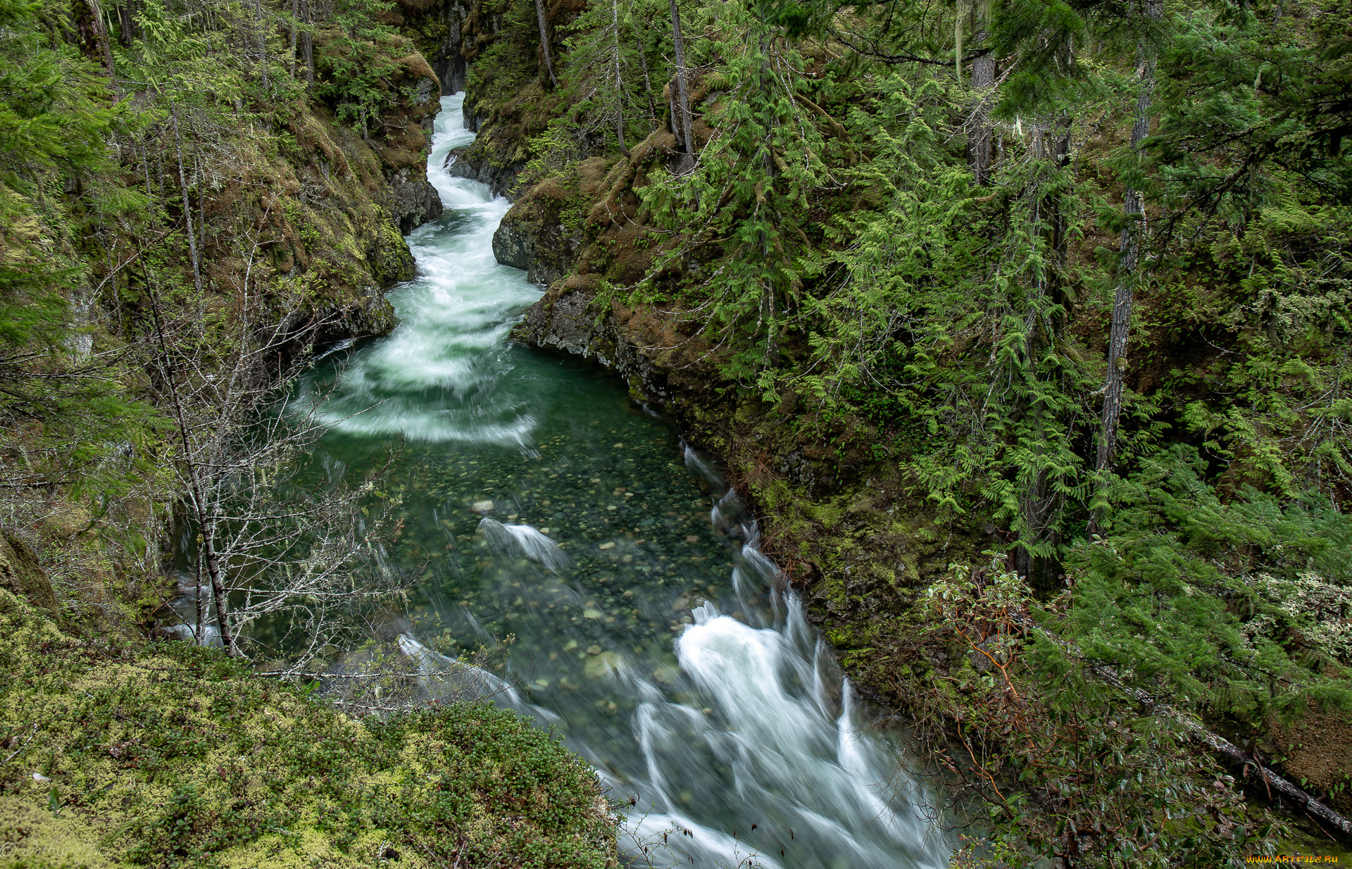 природа, реки, озера, простор