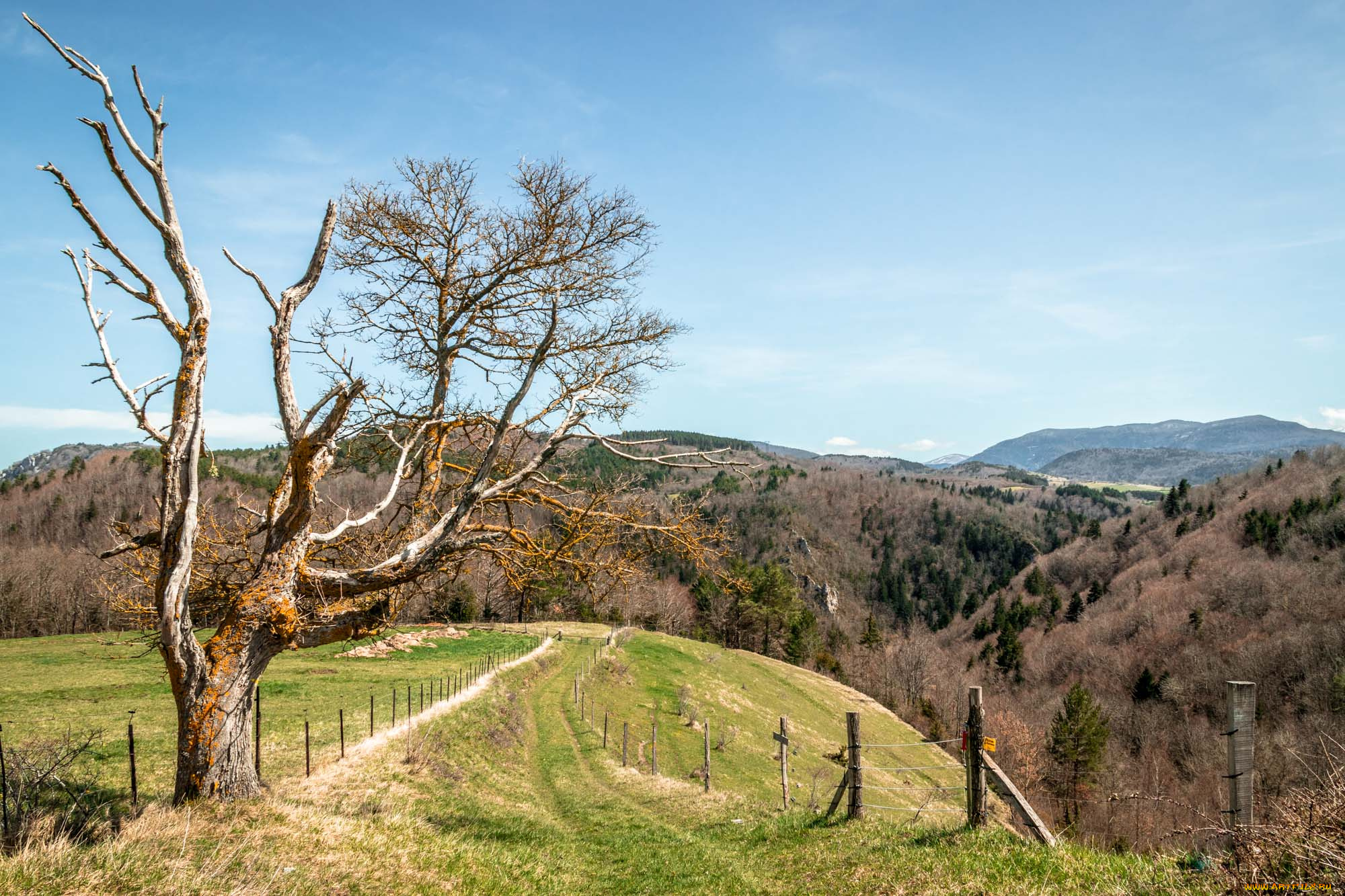 природа, пейзажи, простор