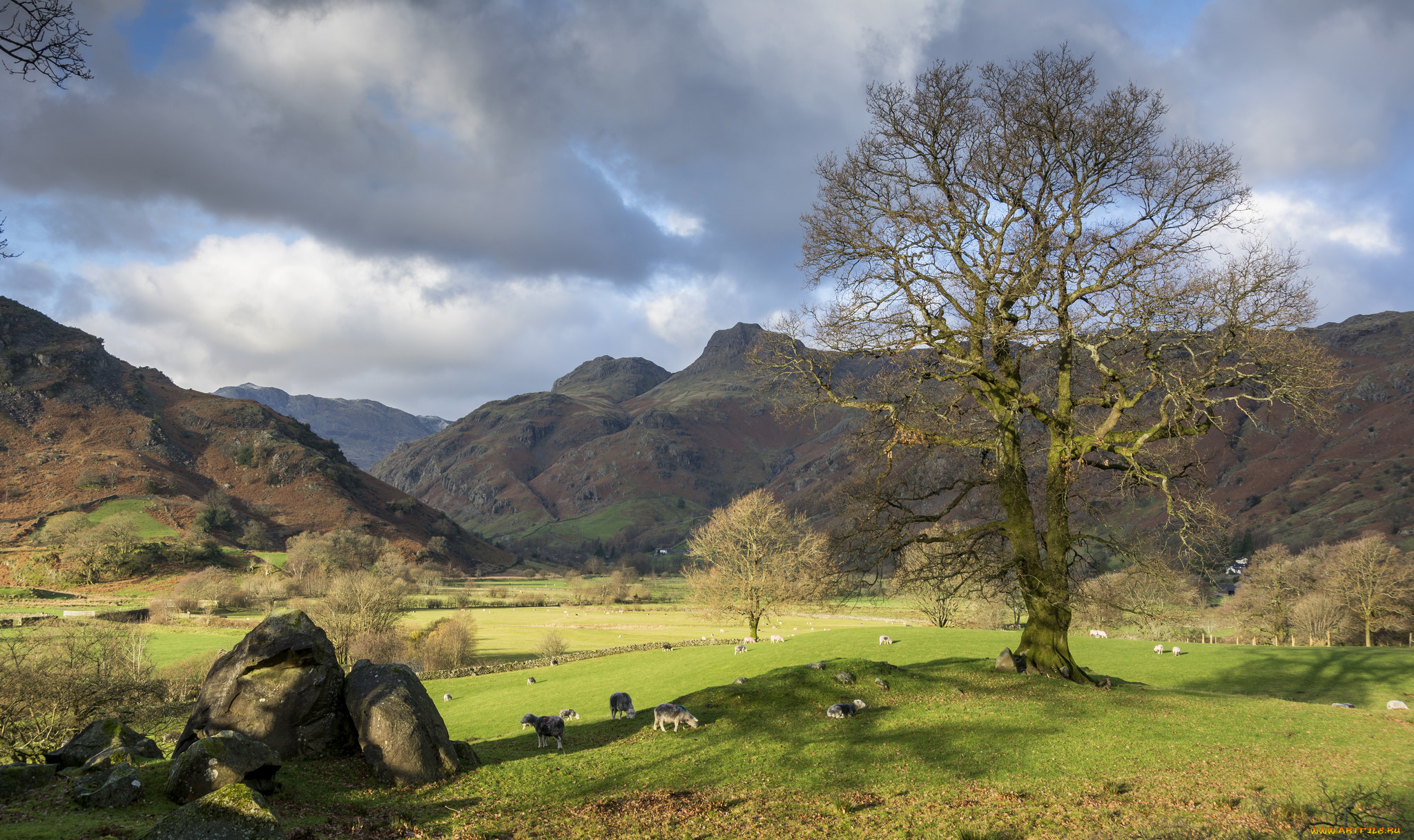 природа, пейзажи, простор