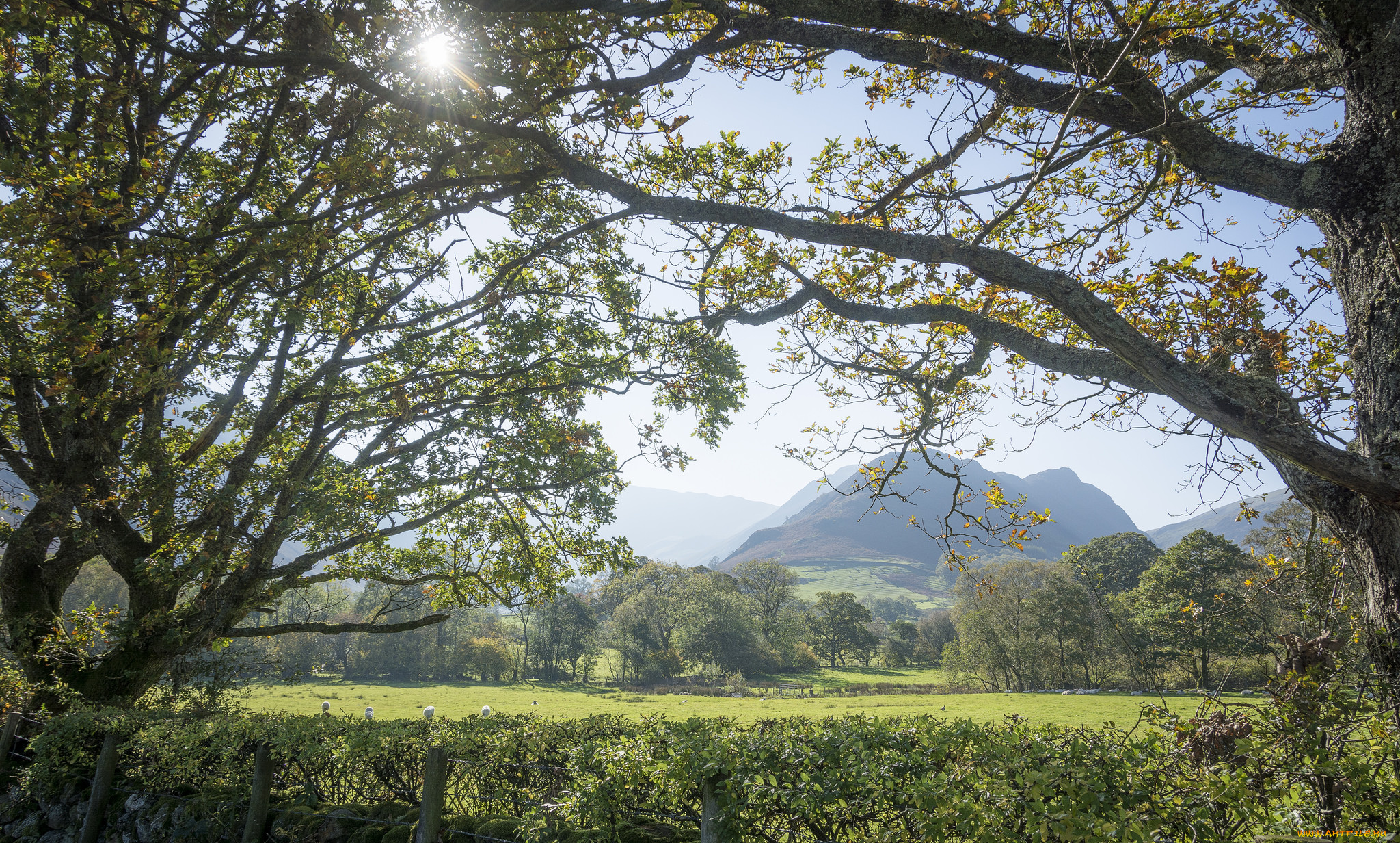 природа, пейзажи, простор