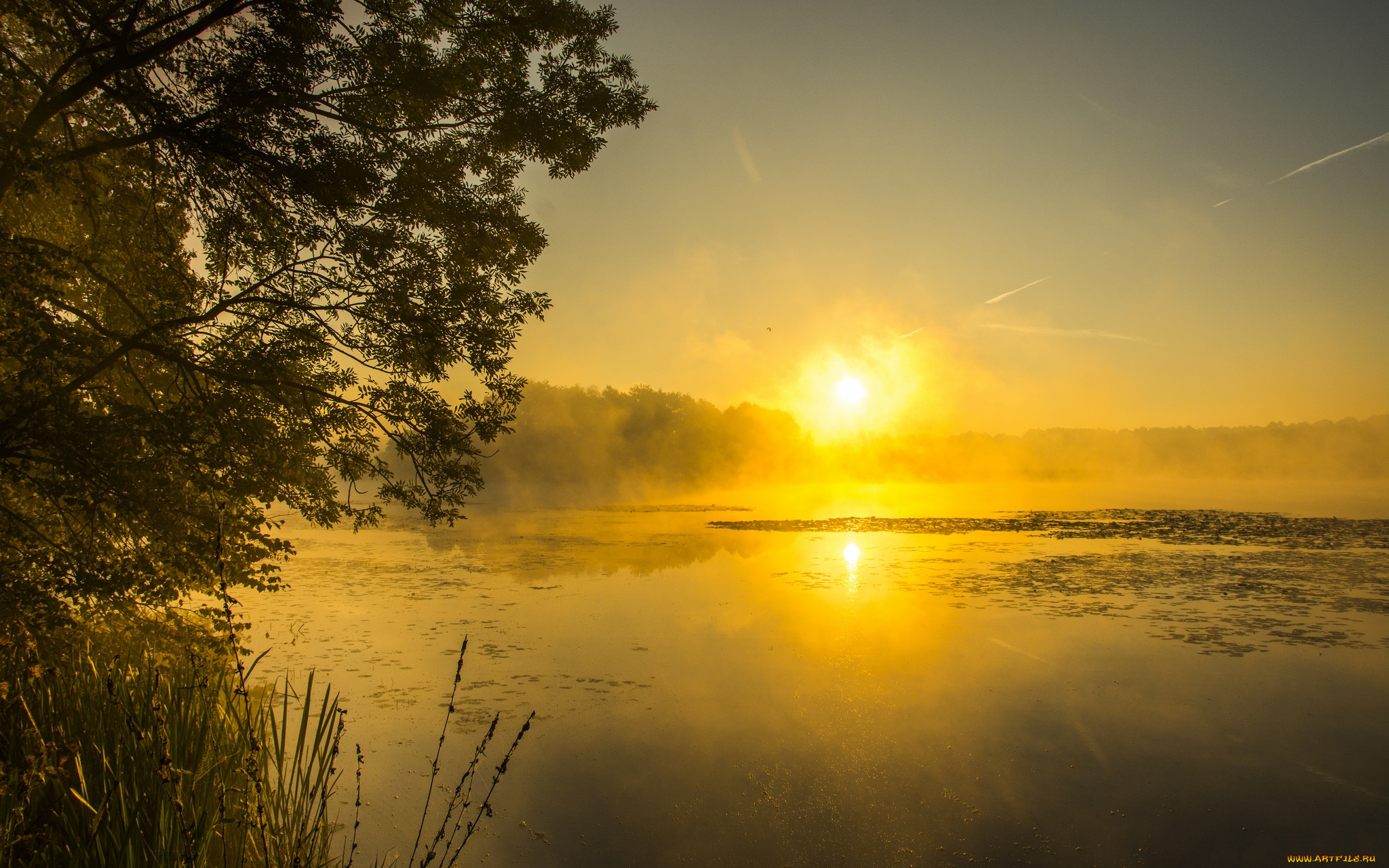 природа, восходы, закаты, простор