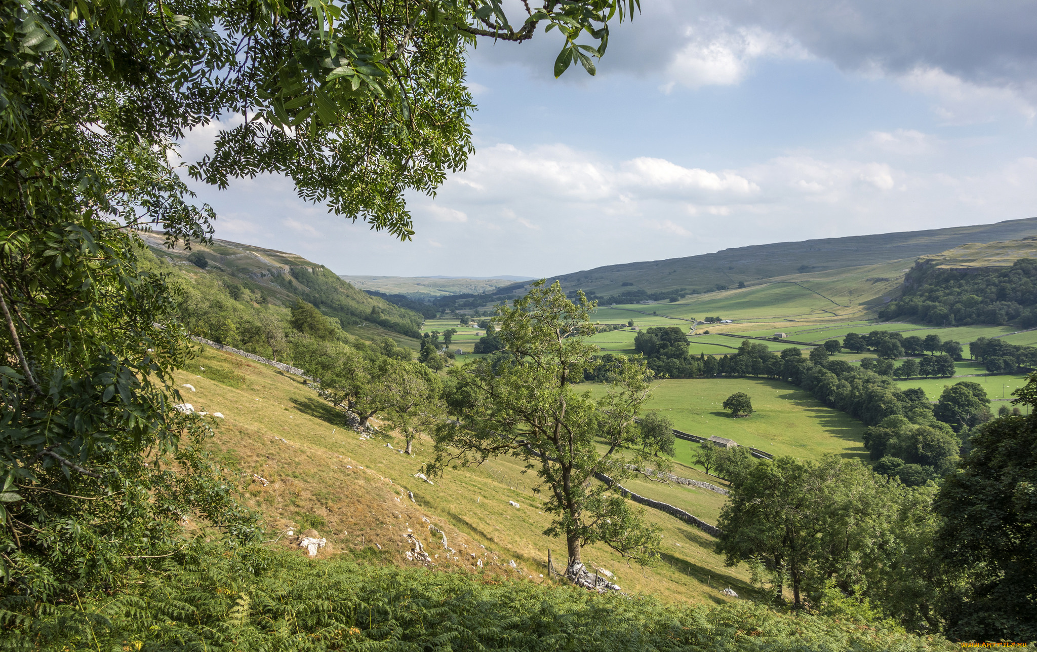 природа, пейзажи, простор