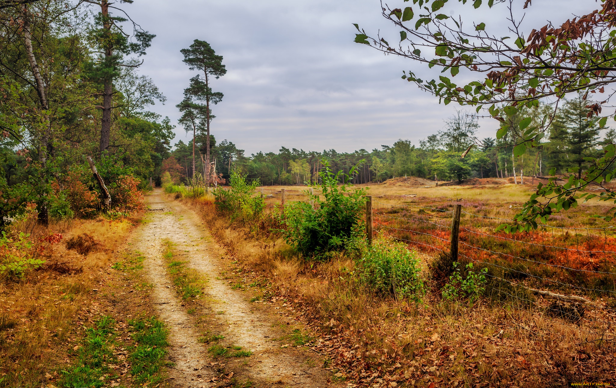 природа, дороги, простор