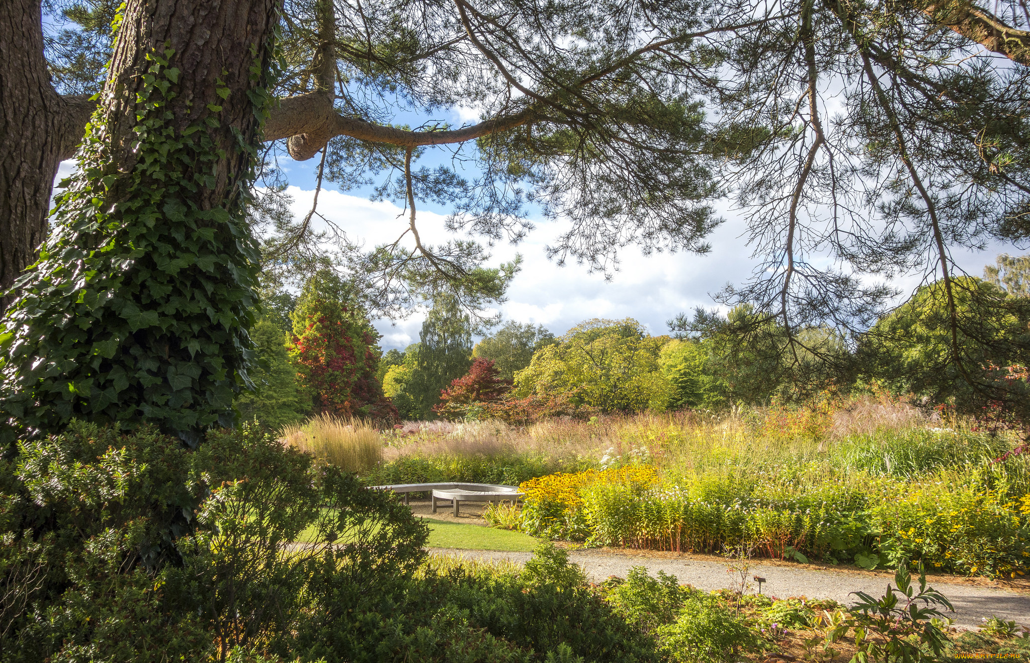 природа, пейзажи, простор