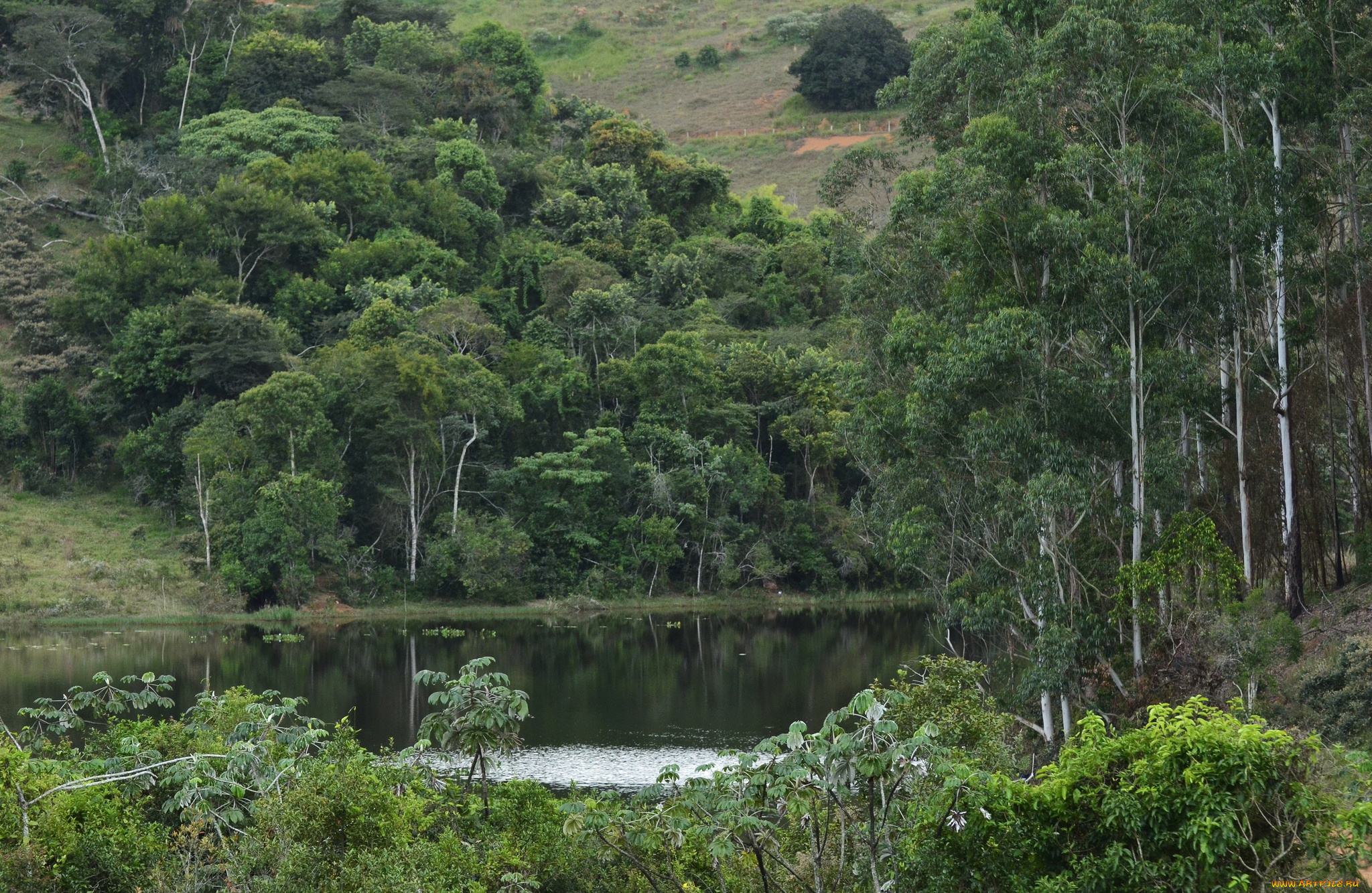 природа, реки, озера, простор