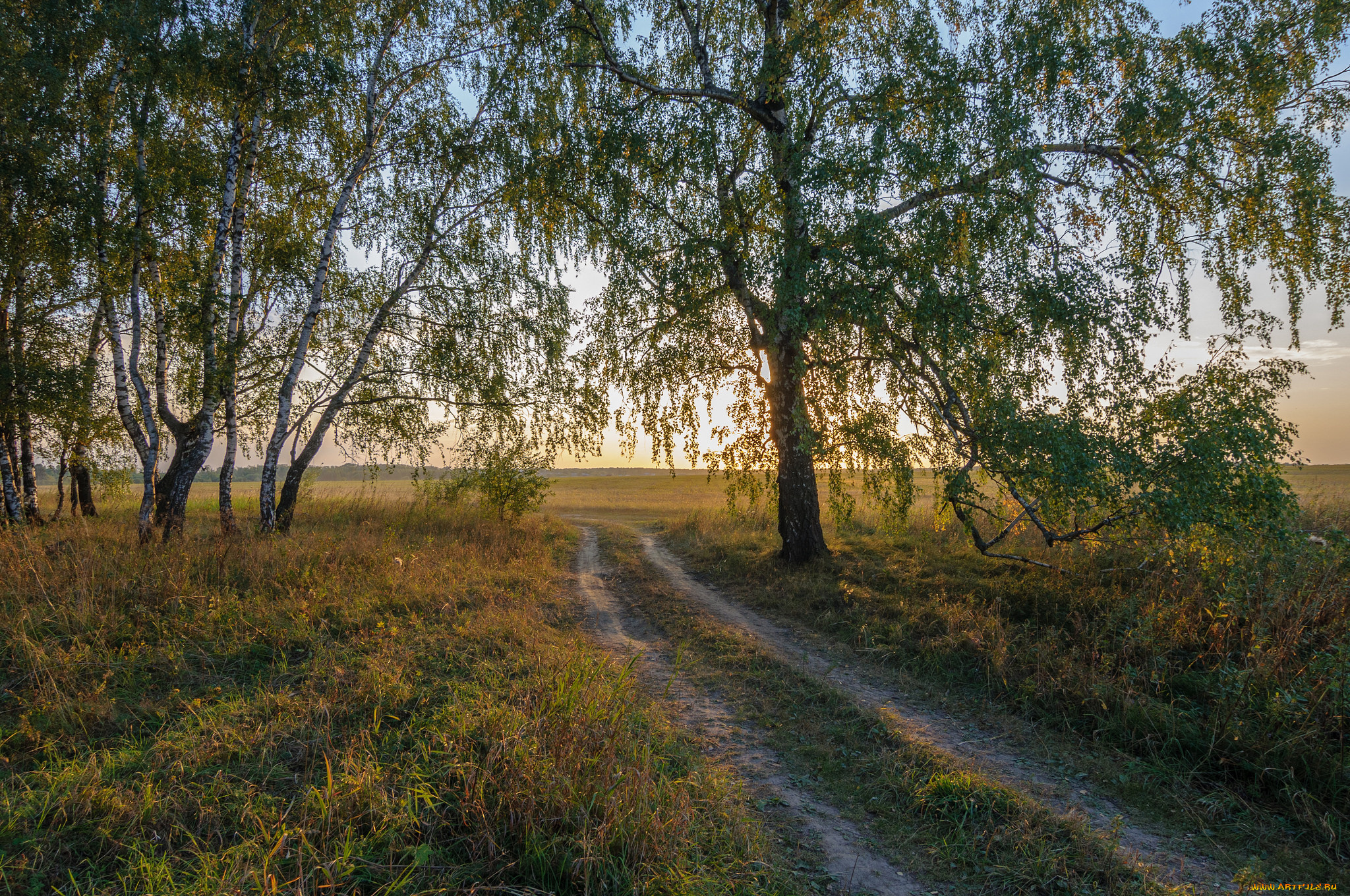 природа, дороги, простор