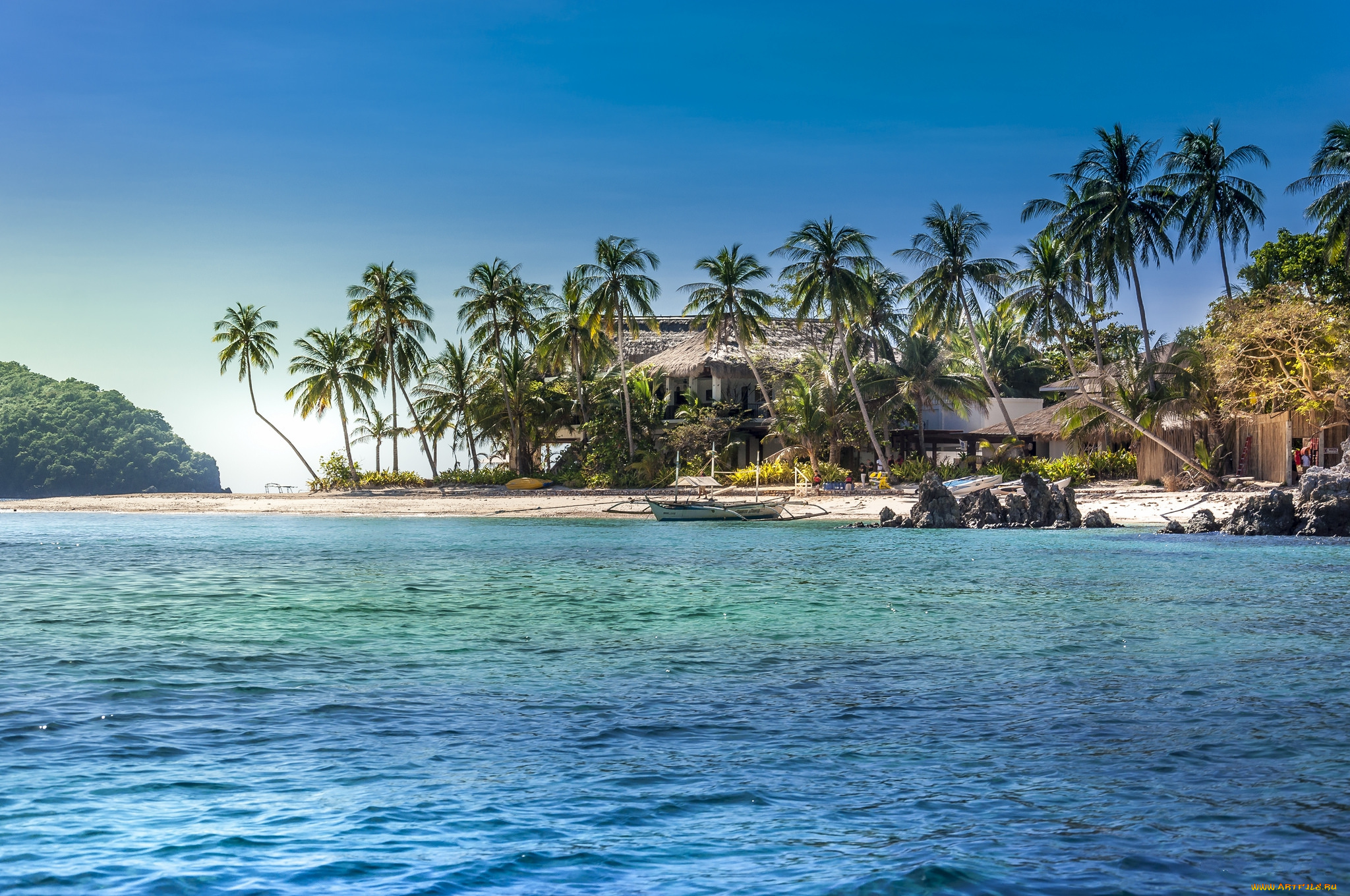 природа, тропики, простор