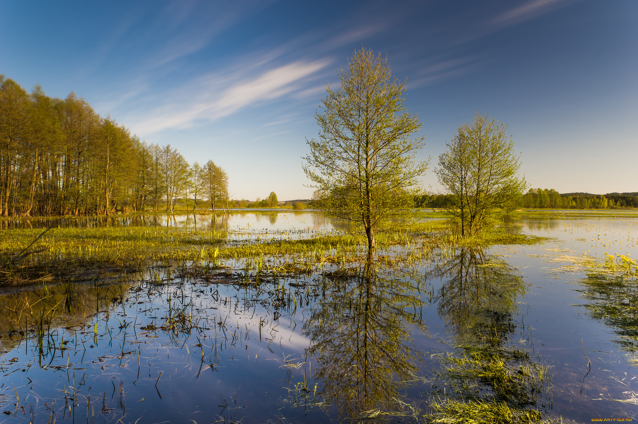 природа, реки, озера, простор