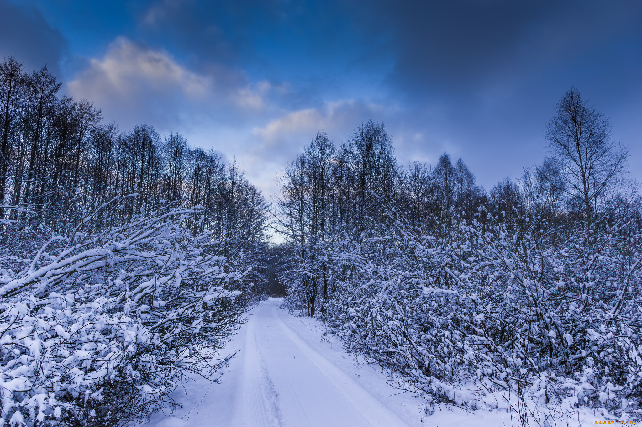 природа, зима, простор