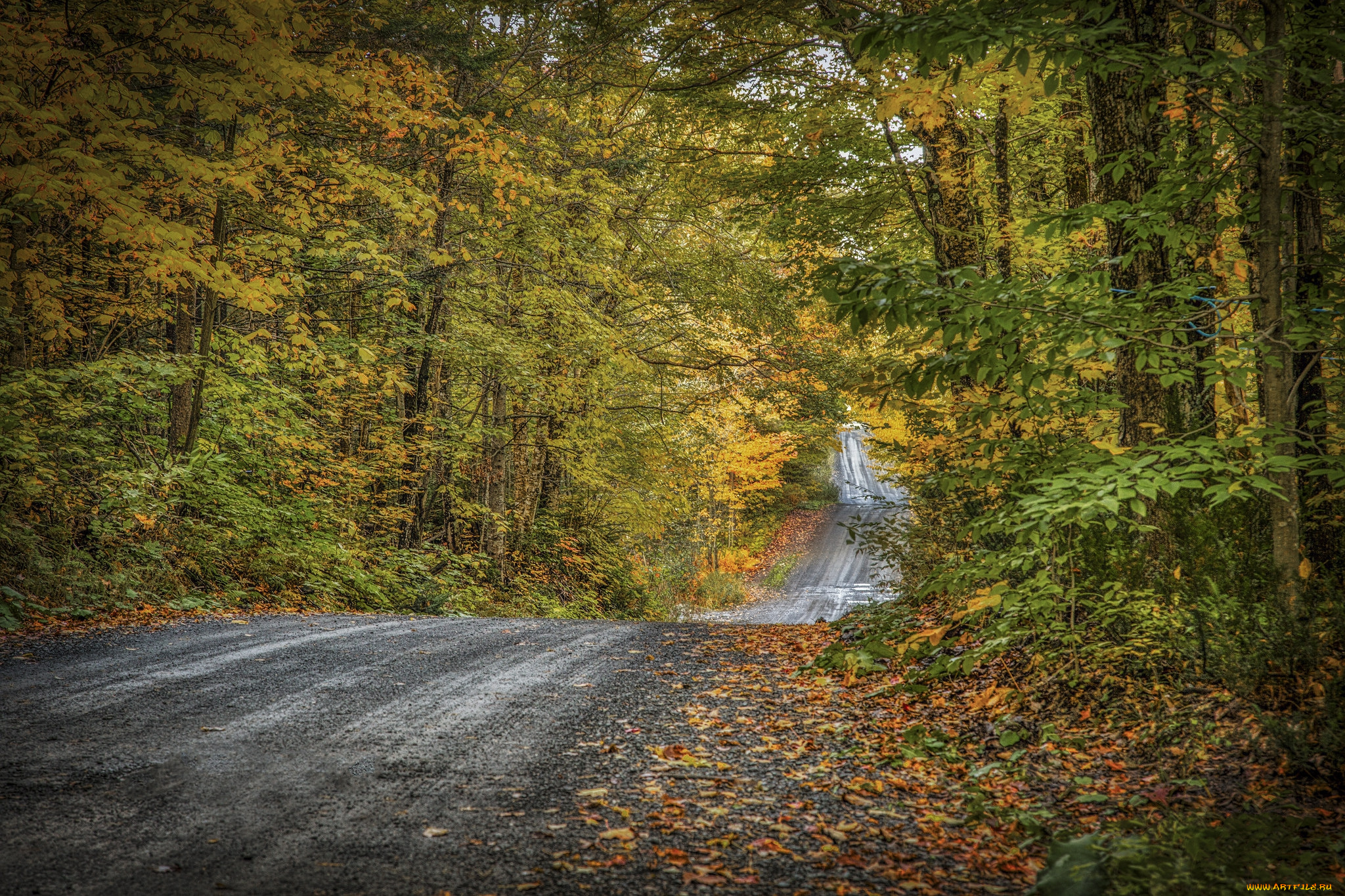 природа, дороги, простор