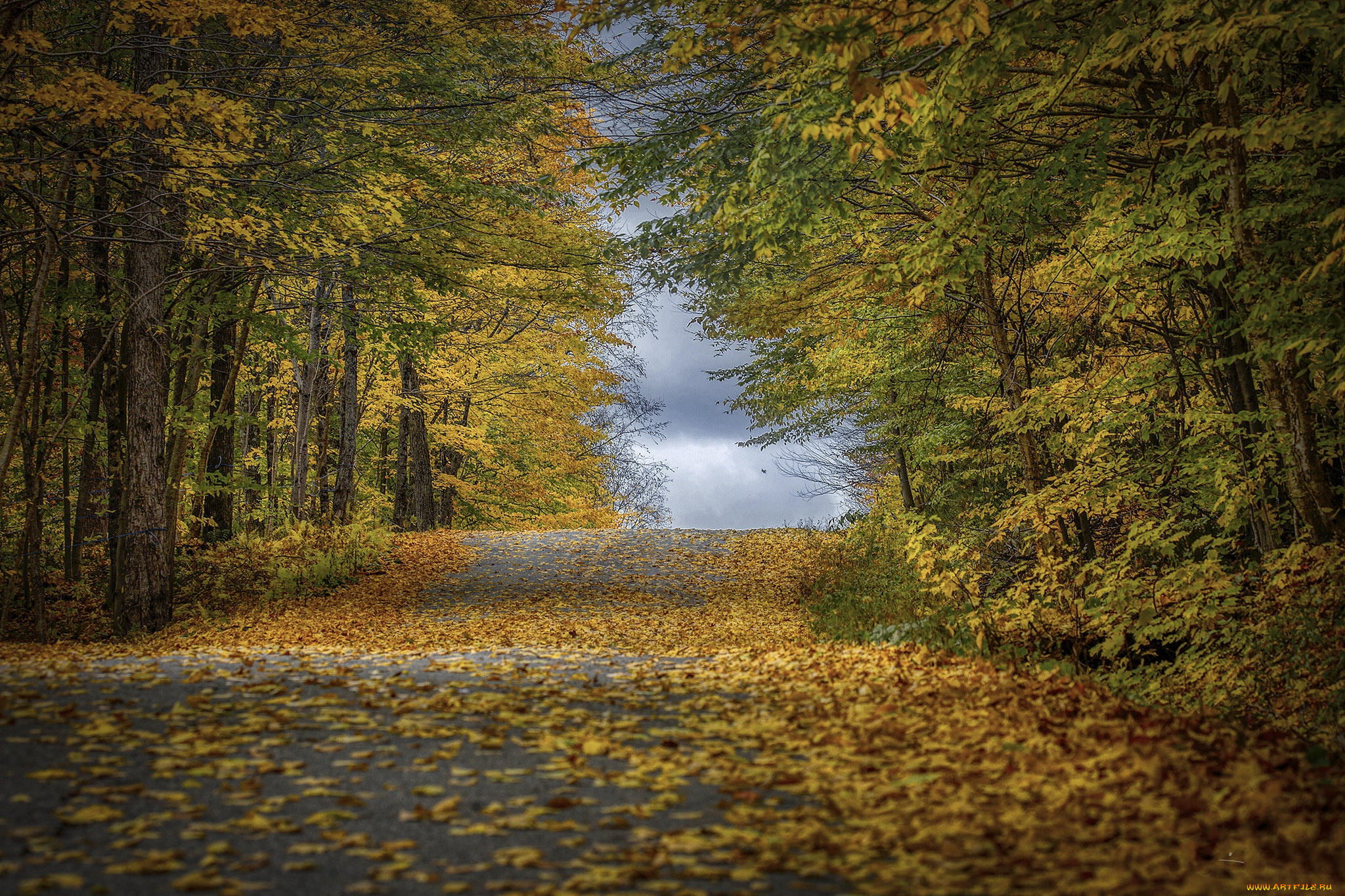 природа, дороги, простор