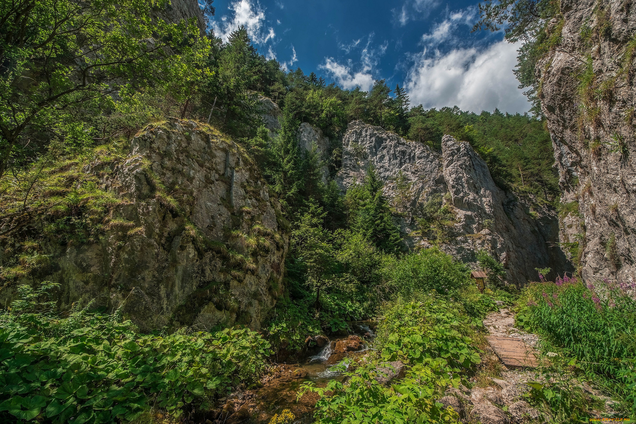 природа, горы, простор