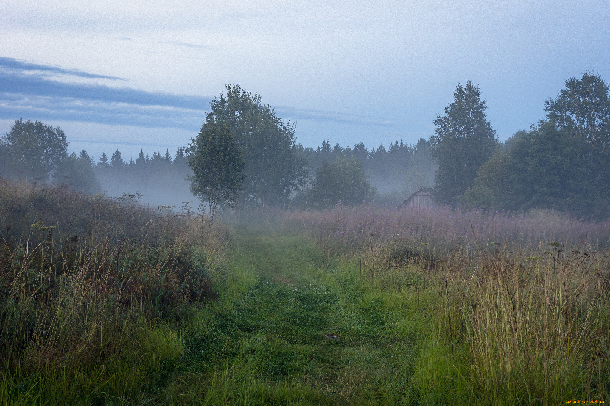 природа, пейзажи, простор