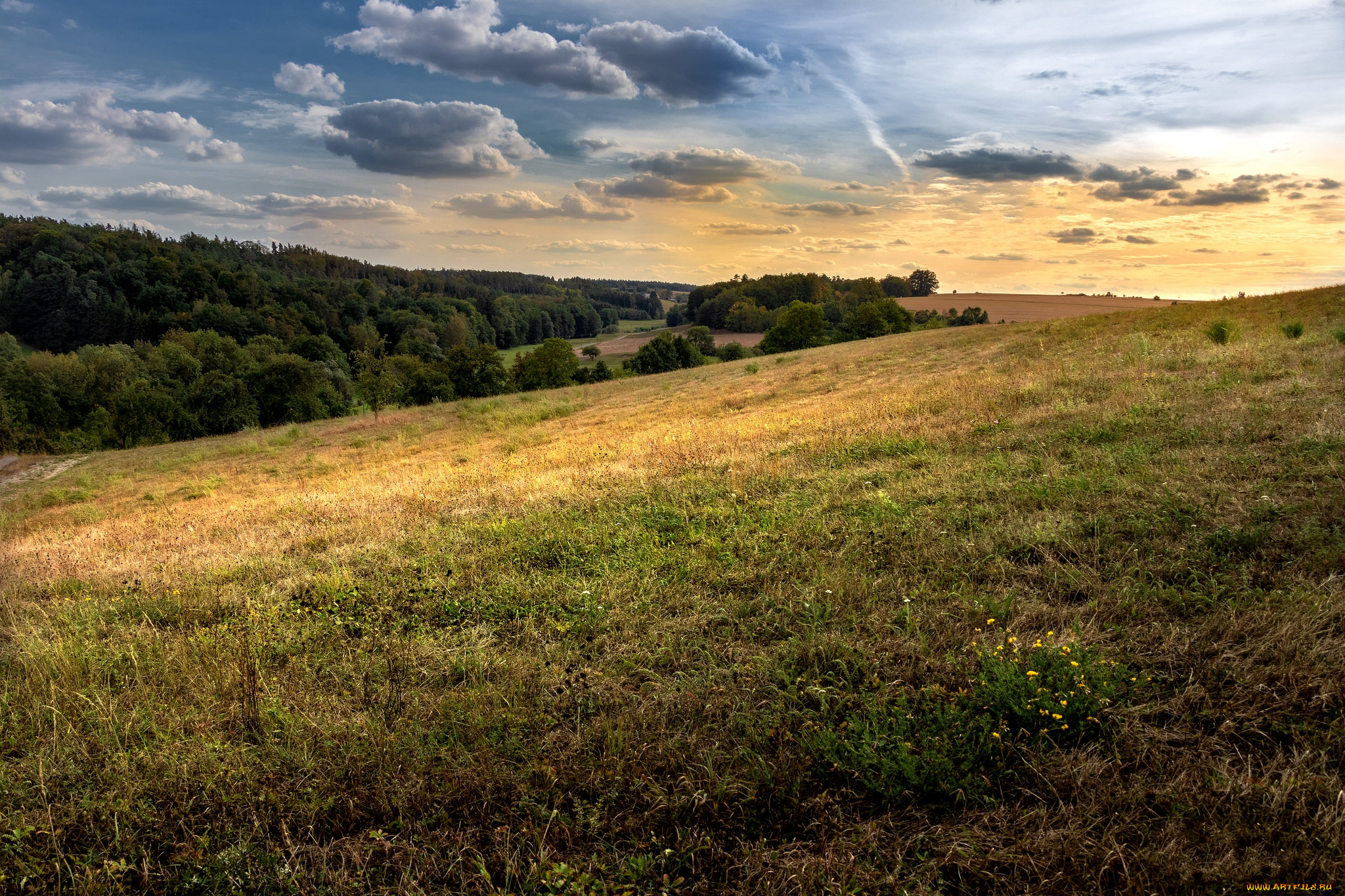 природа, пейзажи, простор