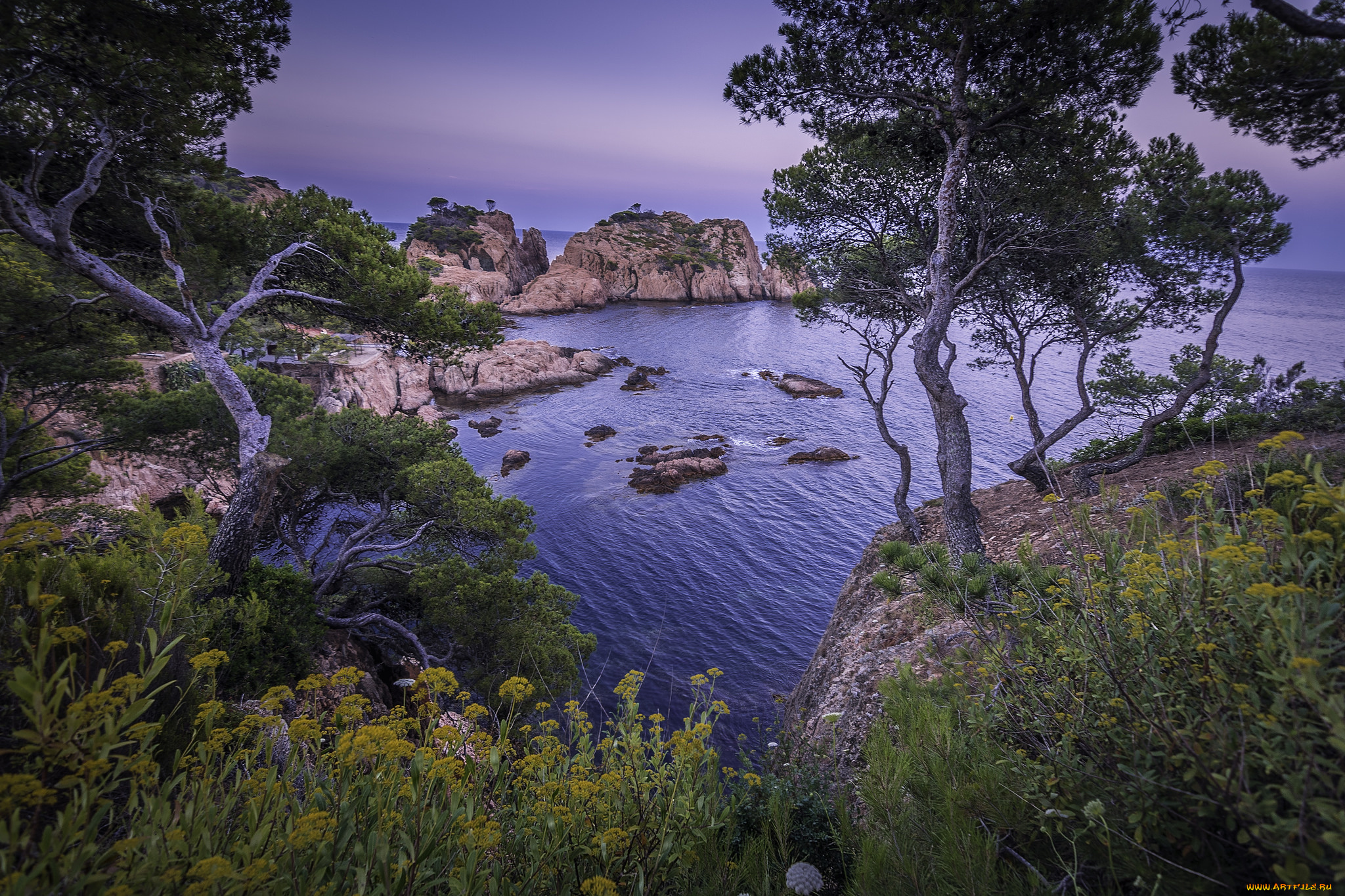 природа, побережье, простор