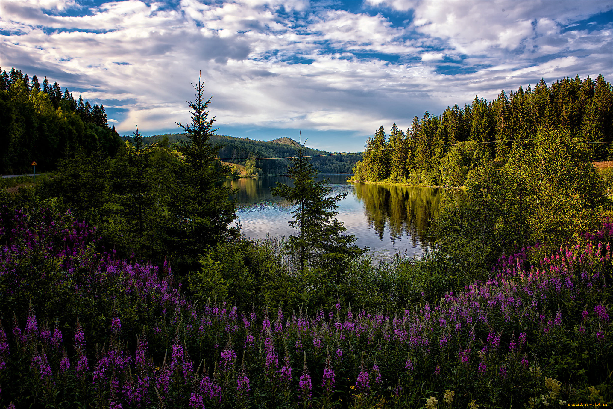 природа, реки, озера, простор