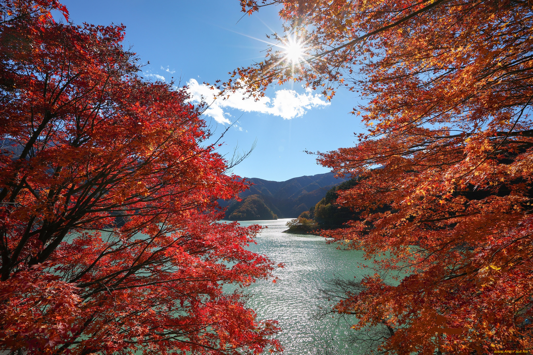 природа, реки, озера, простор