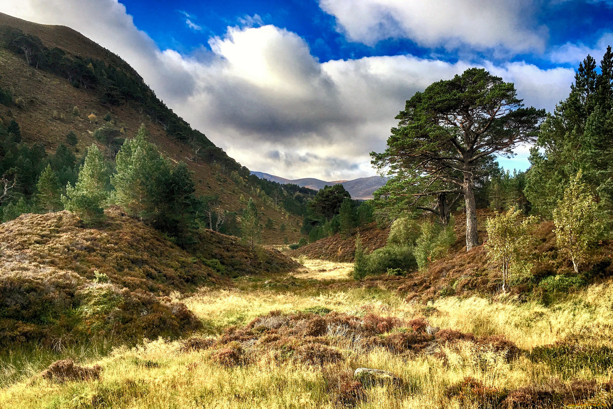 природа, горы, простор