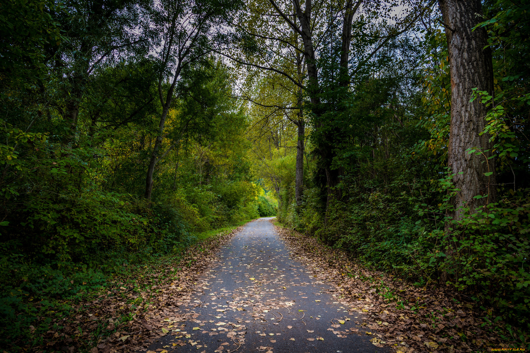 природа, дороги, простор