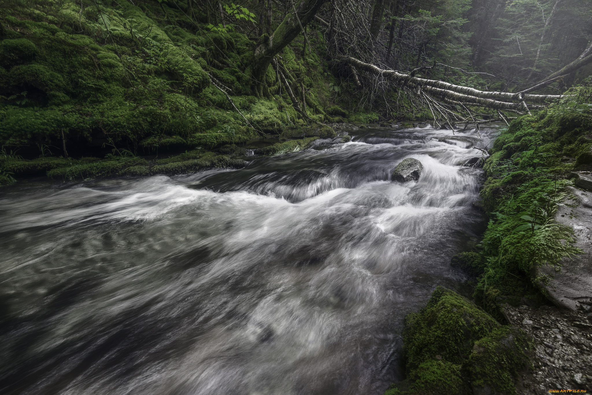 природа, реки, озера, простор