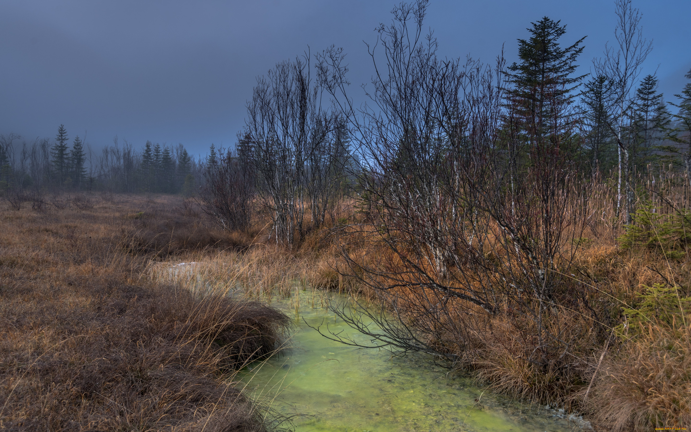 природа, реки, озера, осень, река