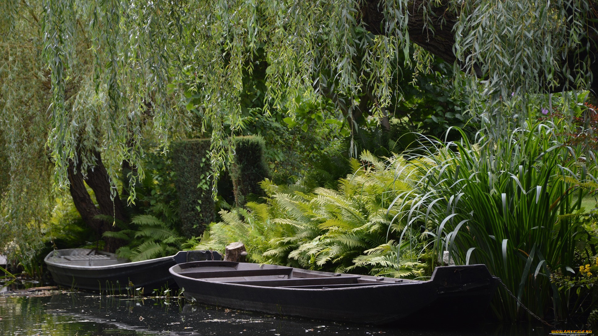 корабли, лодки, , шлюпки, заводь, зелень