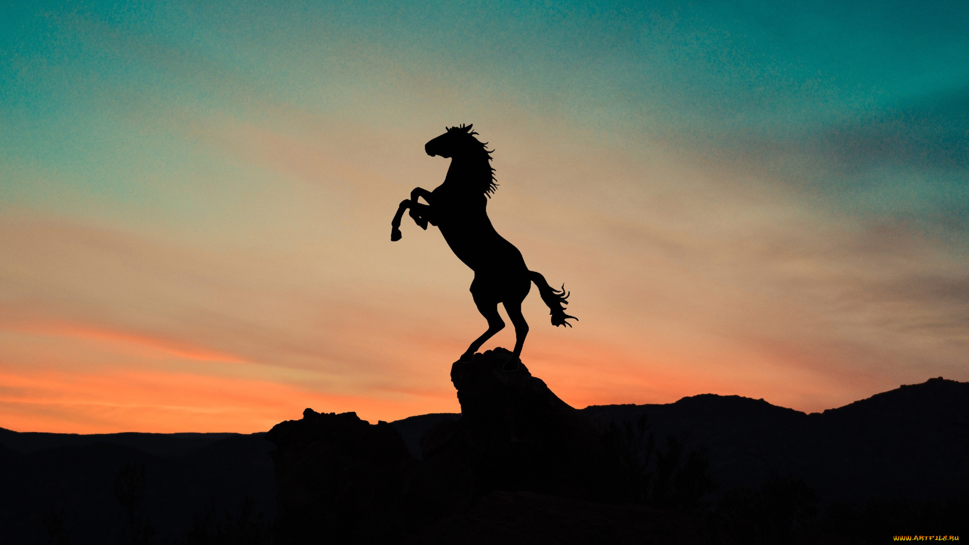 векторная, графика, животные, , animals, конь, силуэт, закат