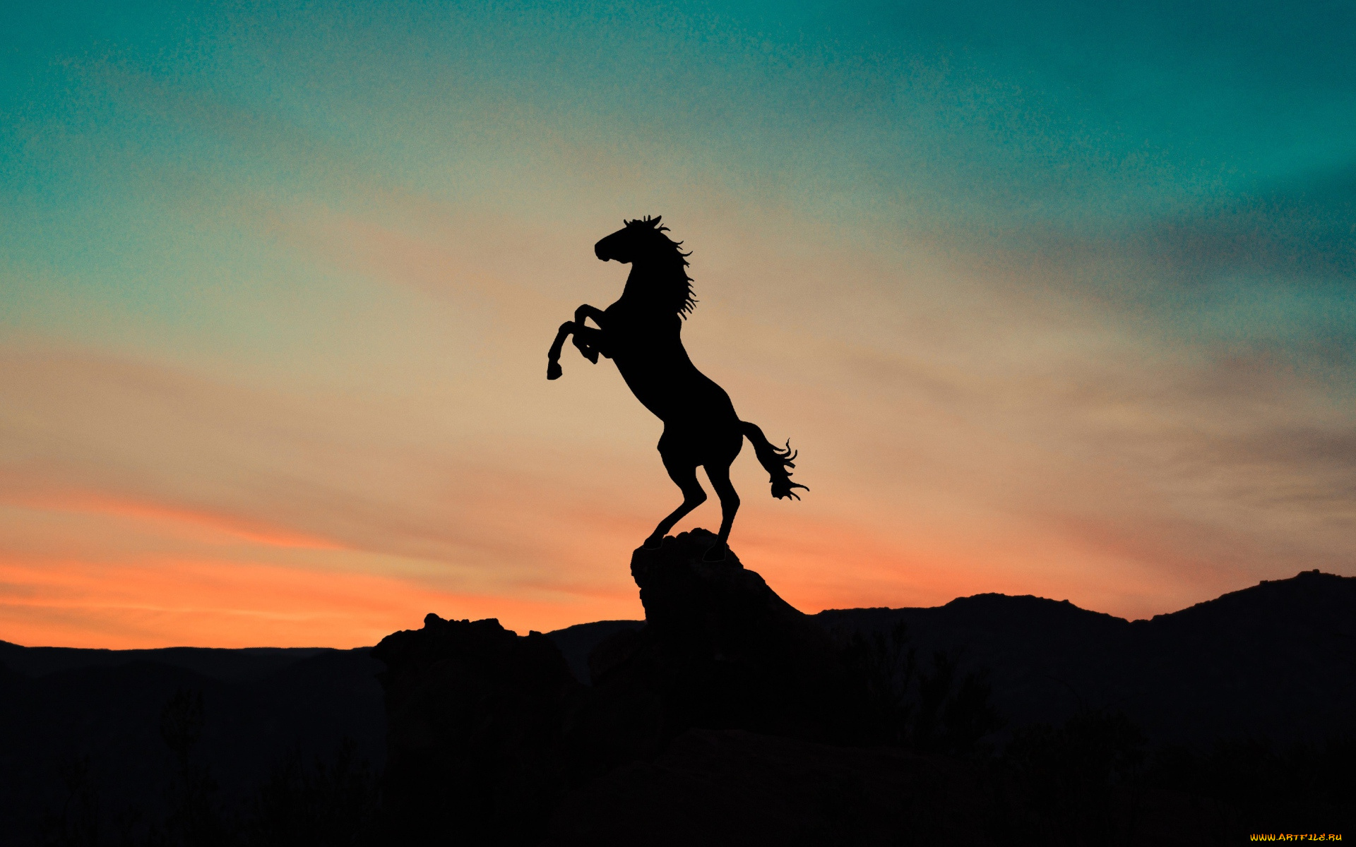 векторная, графика, животные, , animals, конь, силуэт, закат