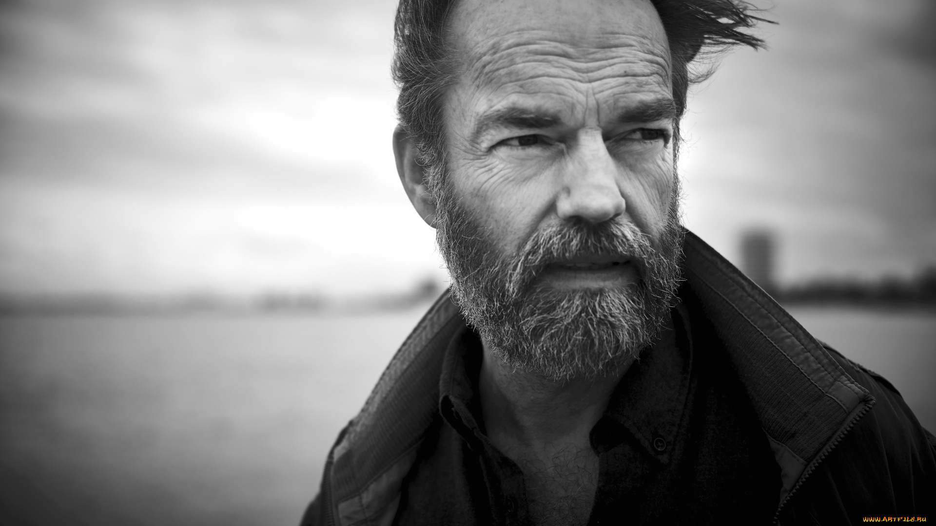 hugo, weaving, мужчины, актер, лицо, ветер, куртка