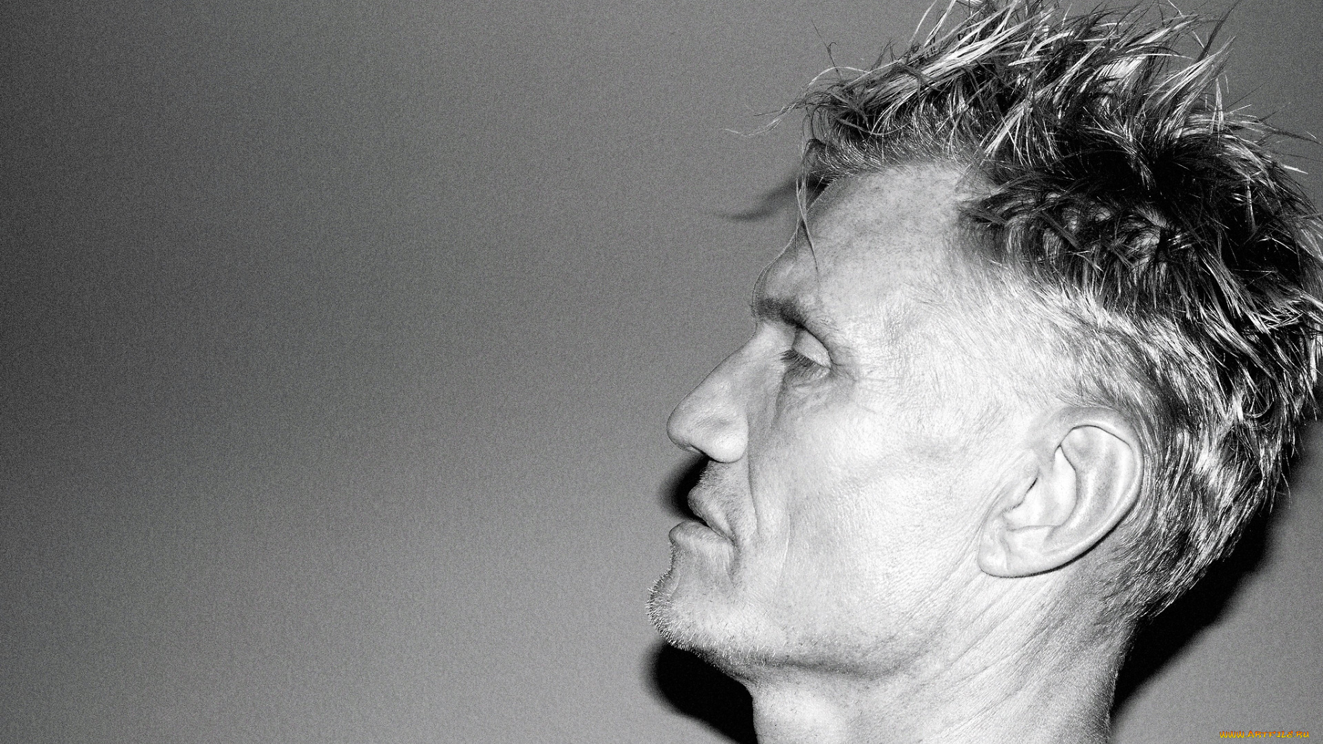 мужчины, dolph, lundgren, актер, лицо, профиль