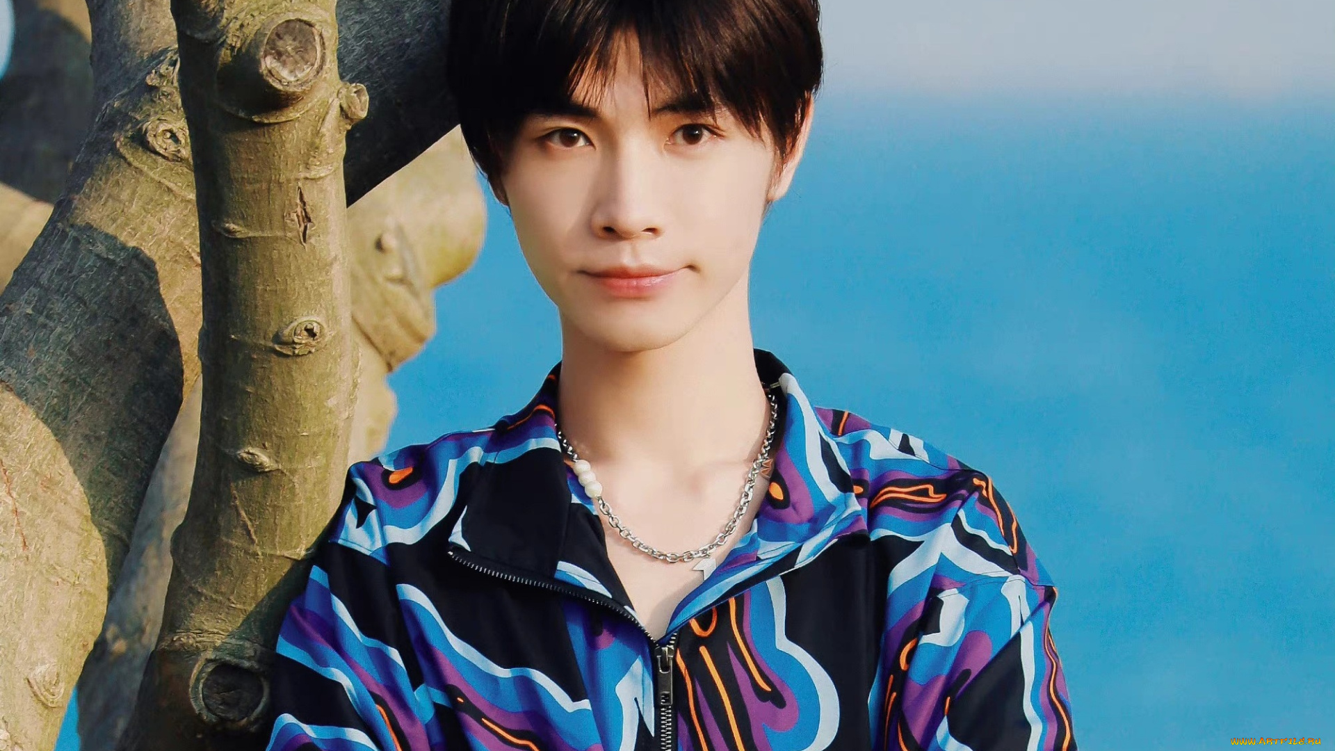 мужчины, song, ji, yang, сун, цзиян, китайский, актёр, певец