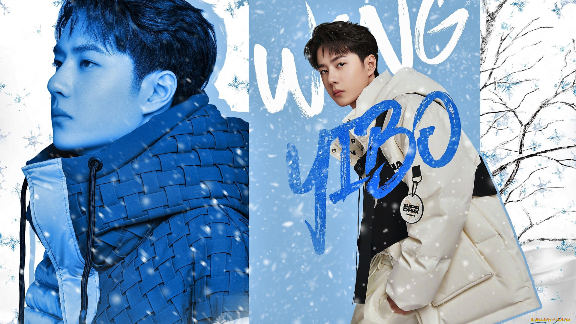 мужчины, wang, yi, bo, актер, куртка, снег