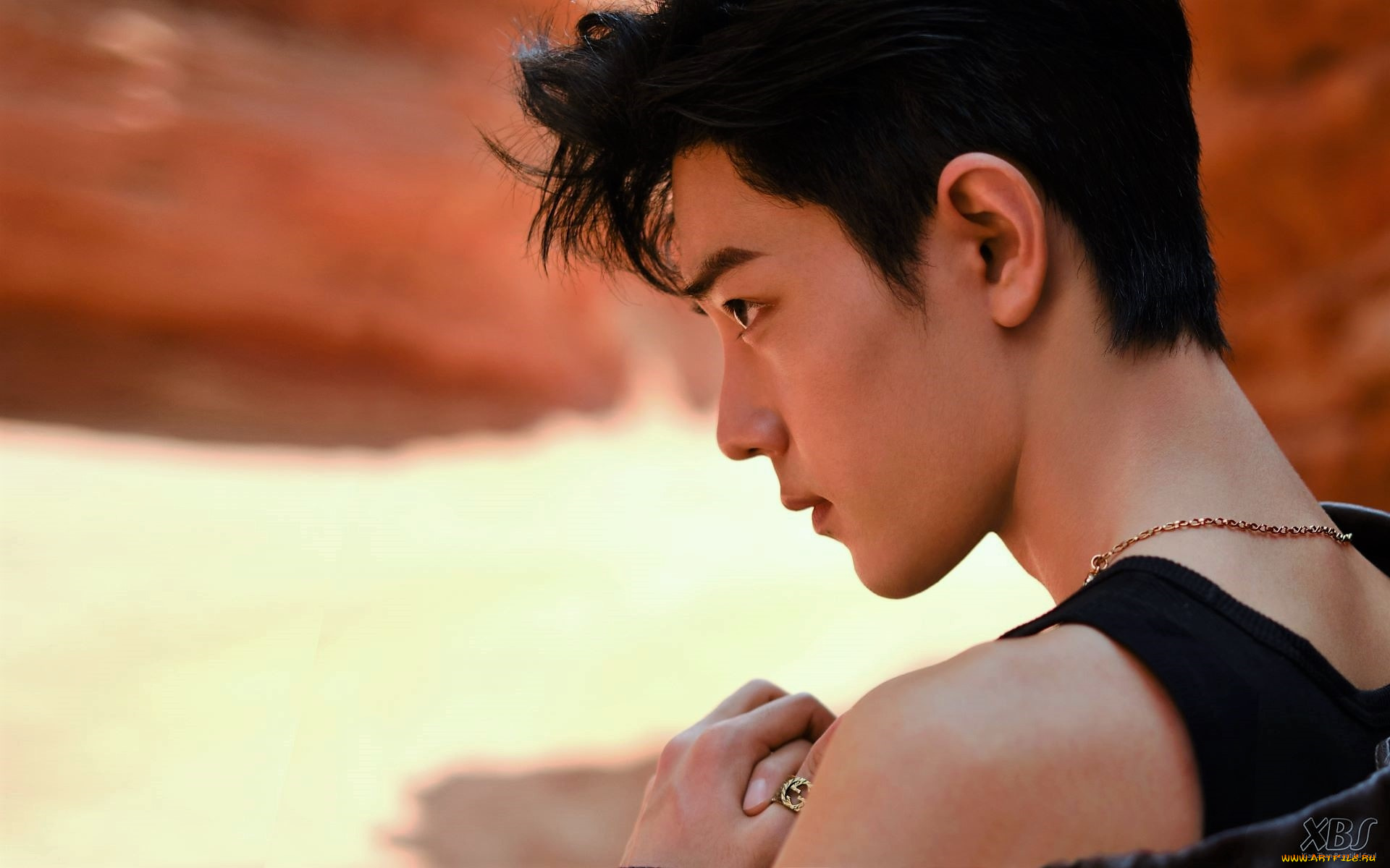 мужчины, xiao, zhan, актер, лицо, майка, кольцо, скалы